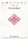 Libero Gerosa, Gerosa Libero - Canon Law