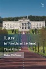 Brice Dickson, Dickson Brice - Law in Northern Ireland