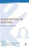 Anthony R Cross, Stanley E Porter, Anthony R. Cross, Cross Anthony R., Stanley E. Porter - Dimensions of Baptism