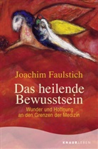 Joachim Faulstich - Das heilende Bewusstsein