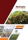 Asnake Kefale, Zerihun Mohammed - Multiple Faces of Khat