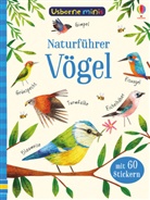 Kirstee Robson, Kirsteen Robson, Sam Smith, Stephanie Fizer Coleman - Naturführer: Vögel