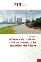 Salim Guettala - Influence de l'addition SDFB au ciment sur les propriétés des bétons