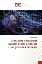 Takaya Sakaki - Transport d'électrons rapides et des ondes de choc générées par laser
