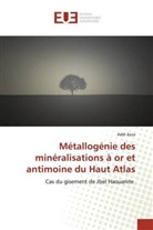 Addi Azza - Métallogénie des minéralisations à or et antimoine du Haut Atlas