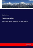 Charles Dixon - Our Rarer Birds