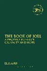 Elie Assis, Claudia V. Camp, Andrew Mein - The Book of Joel