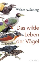 Walter A Sontag, Walter A. Sontag - Das wilde Leben der Vögel