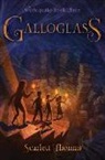 Scarlett Thomas - Galloglass