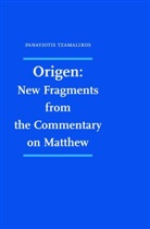 Panayiotis Tzamalikos, Tzamalikos Panayiotis, Panayioti Tzamalikos, Panayiotis Tzamalikos - Origen: New Fragments from the Commentary on Matthew