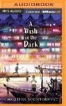 Christina Soontornvat, Christina/ Jung Soontornvat, Greta Jung - A Wish in the Dark (Audio book)