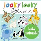 Sandra Magsamen, Magsamen Sandra - Looky Looky Little One Baby Animals