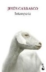 Jesús Carrasco - Intemperie