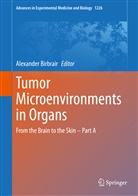 Alexande Birbrair, Alexander Birbrair - Tumor Microenvironments in Organs