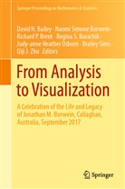 David H. Bailey, Naom Borwein, Naomi Borwein, Naomi Simone Borwein, Richard P. Brent, Regina S. Burachik... - From Analysis to Visualization