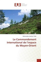 Mahamadou Issoufou Tiado - Le Commandement International de l'espace du Moyen-Orient