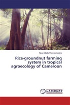 Nsea Mballa Thomas Arsène - Rice-groundnut farming system in tropical agroecology of Cameroon