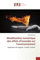 Samia Chettouh - Modélisation numérique des effets d'incendie sur l'environnement