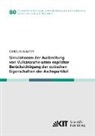 Carolin Walter - Simulationen der Ausbreitung von Vulkanasche unter expliziter Berücksichtigung der optischen Eigenschaften der Aschepartikel