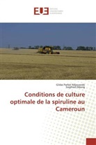 Siegfried Dibong, Gildas Parfai Ndjouondo, Gildas Parfait Ndjouondo - Conditions de culture optimale de la spiruline au Cameroun