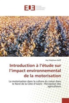 Avy Stéphane Koffi - Introduction à l'étude sur l'impact environnemental de la motorisation