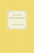 Gustav Bregenzer, Dr. Peter Haas, Peter Haas, D Peter Haas, Dr Peter Haas - Malerische Hirngespinnste