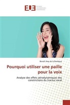 Benoît Amy de la Bretèque - Pourquoi utiliser une paille pour la voix