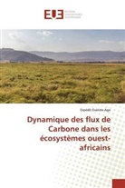 Expedit Evariste Ago - Dynamique des flux de Carbone dans les écosystèmes ouest-africains