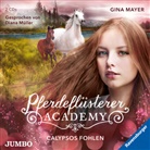 Gina Mayer, Diana Müller - Pferdeflüsterer-Academy - Calypsos Fohlen, 2 Audio-CD (Audio book)