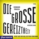 Bernhard Pörksen, Bernhard Pörksen - Die große Gereiztheit. Wege aus der kollektiven Erregung, 5 Audio-CD (Hörbuch)