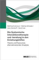 Matthia Euteneuer, Matthias Euteneuer, Mathia Schwabe, Mathias Schwabe, Uhlendorf, U Uhlendorff... - Die Systemische Interaktionstherapie und -beratung in den Erziehungshilfen