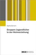 Sophie Domann - Gruppen Jugendlicher in der Heimerziehung