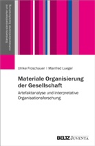 Ulrik Froschauer, Ulrike Froschauer, Manfred Lueger - Materiale Organisierung der Gesellschaft