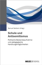 Samue Salzborn, Samuel Salzborn - Schule und Antisemitismus