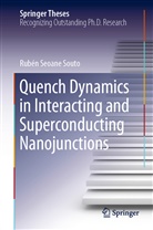 Rubén Seoane Souto - Quench Dynamics in Interacting and Superconducting Nanojunctions