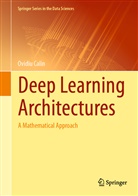 Calin, Ovidiu Calin - Deep Learning Architectures
