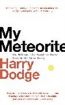 Harry Dodge - My Meteorite