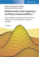 Raine Ansorge, Rainer Ansorge, Hans Oberle, Hans J Oberle, Hans J. Oberle, Kai Rothe... - Mathematik in den Ingenieur- und Naturwissenschaften