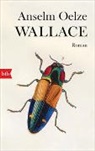 Anselm Oelze - Wallace
