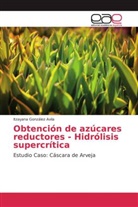 Itzayana González Avila - Obtención de azúcares reductores - Hidrólisis supercrítica