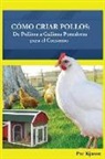 Por Kjasen - Como Criar Pollos: De Pollitos a Gallinas Ponedoras para el Consumo