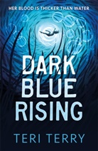 Teri Gerry, Teri Terry, Terry Teri - Dark Blue Rising