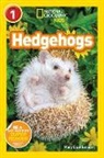 Mary Quattlebaum - Hedgehogs