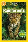 Andrea Silen - Rainforests
