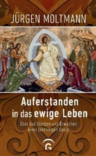 Jürgen Moltmann - Auferstanden in das ewige Leben