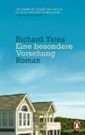 Richard Yates - Eine besondere Vorsehung