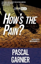 Pascal Garnier - How''s the Pain?