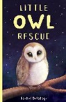 Rachel Delahaye - Little Owl Rescue