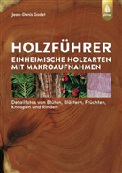 Jean-Denis Godet - Holzführer