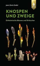 Jean-Denis Godet - Knospen und Zweige